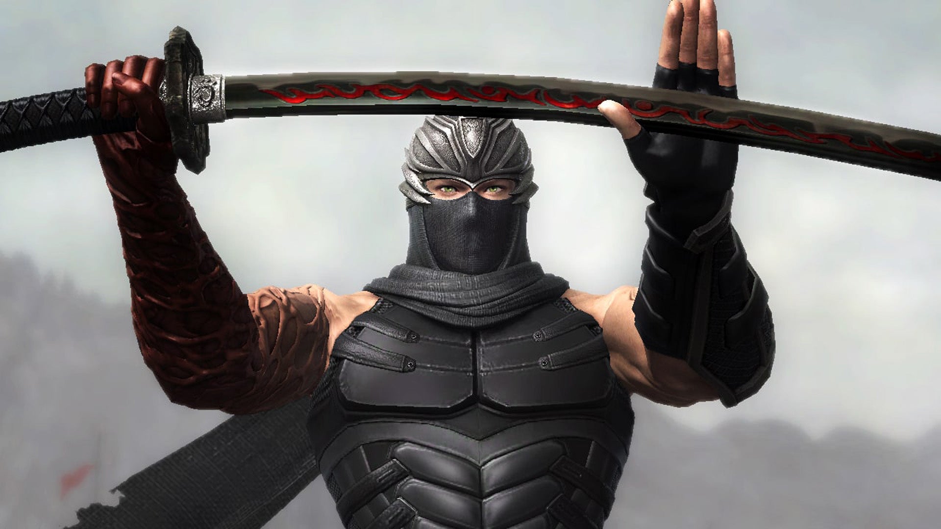 Ninja master